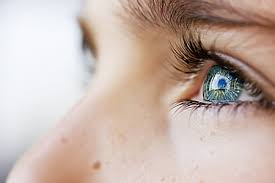 Eyes
